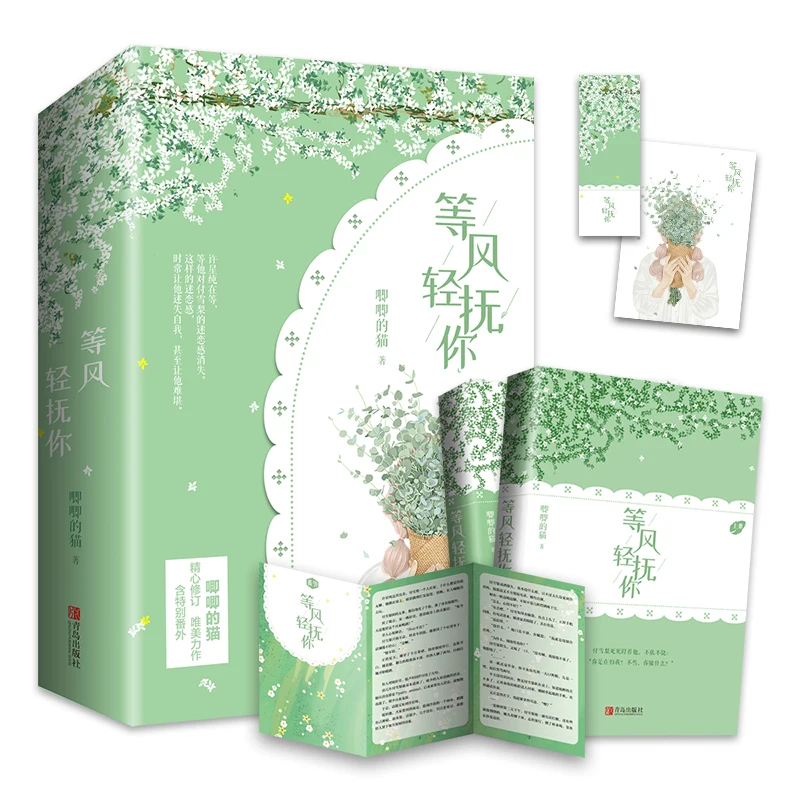 2 Книги/комплект Оригинальный роман Дэн Фэн Цин Фу Ни, произведения Джи Джи Де Мао, Молодежный кампус, любовный роман, Китайская художественная книга - 0