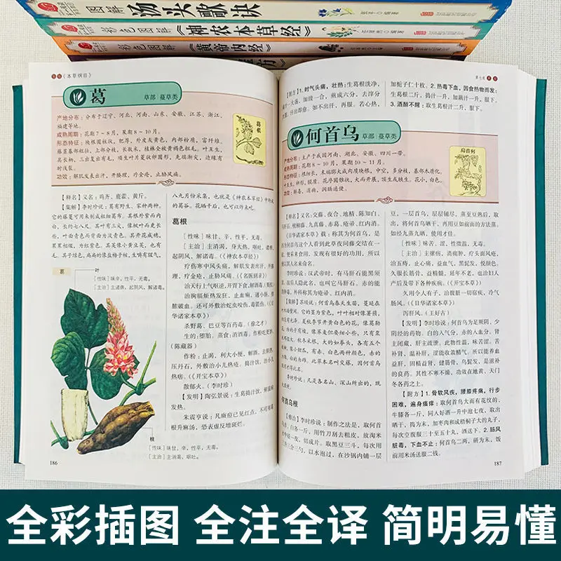 5 книг Хуан Ди Нэй Цзин Сборник материалов медицины Shennong's Herbal Classic Traditional Chinese Medicine Health Book - 3