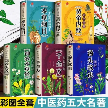 5 книг Хуан Ди Нэй Цзин Сборник материалов медицины Shennong's Herbal Classic Traditional Chinese Medicine Health Book