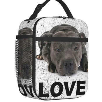 Стаффордширский бультерьер, собака Love, Термоизолированные сумки, Школьный ланч-бокс для животных, Многофункциональная коробка для еды